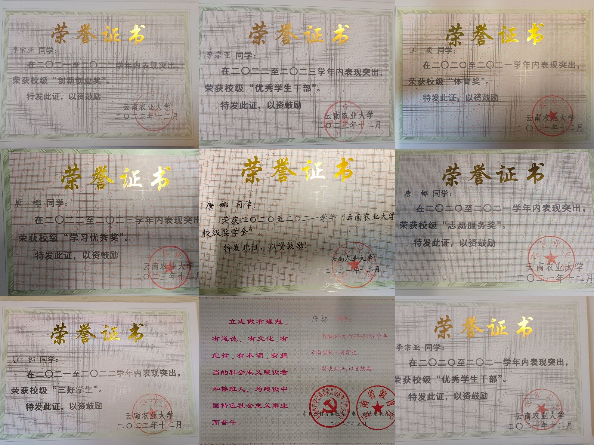 永利国际