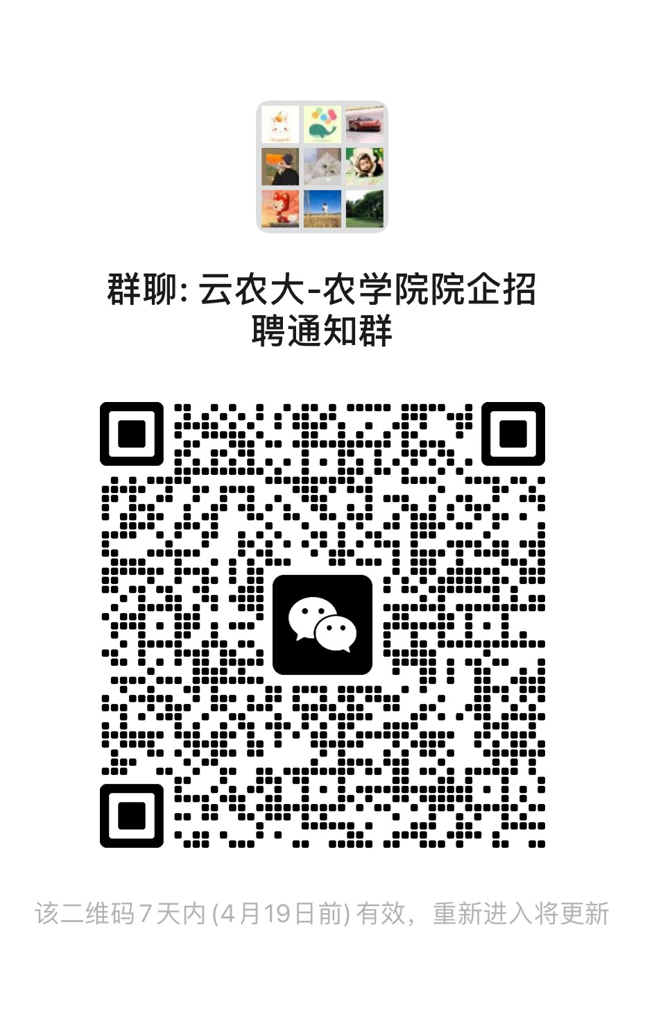 永利国际