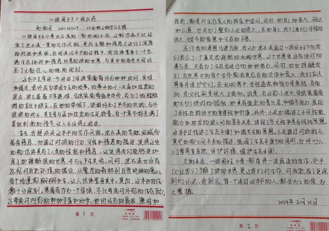永利国际
