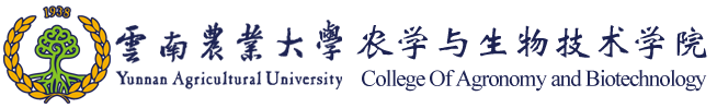 永利国际